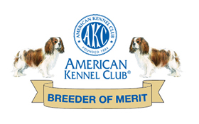 AKC Breeder Of  Merit