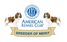 AKC Breeder Of Merit